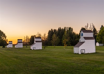 Comte-M-Swan-Lake-Grain(2)